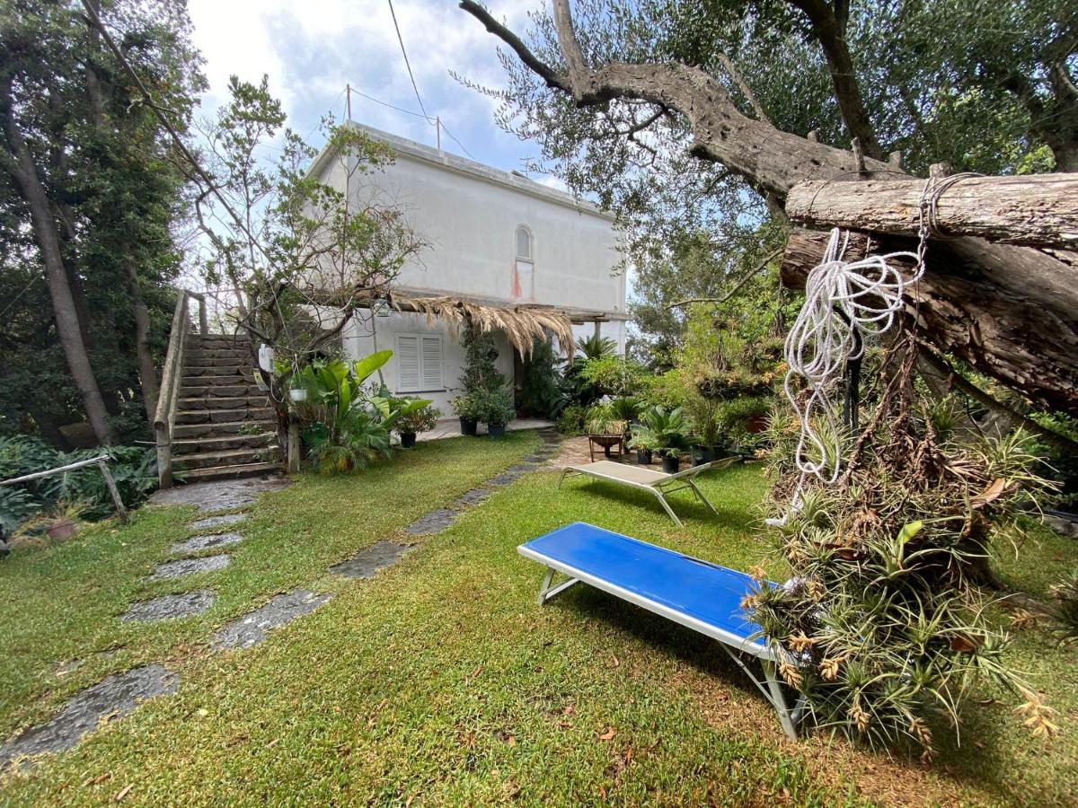 Le Dimore Di Zaro - Green Paradise Forio di Ischia Extérieur photo