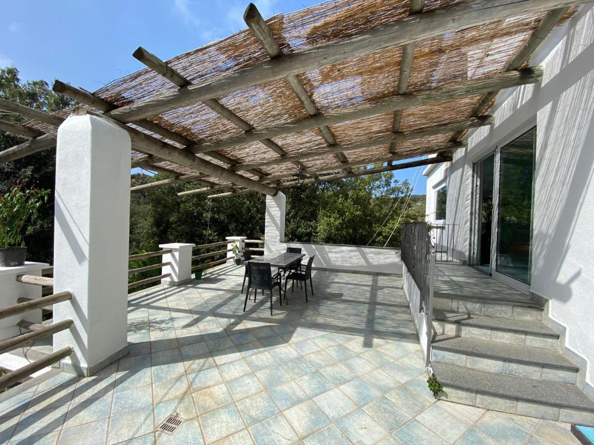 Le Dimore Di Zaro - Green Paradise Forio di Ischia Extérieur photo