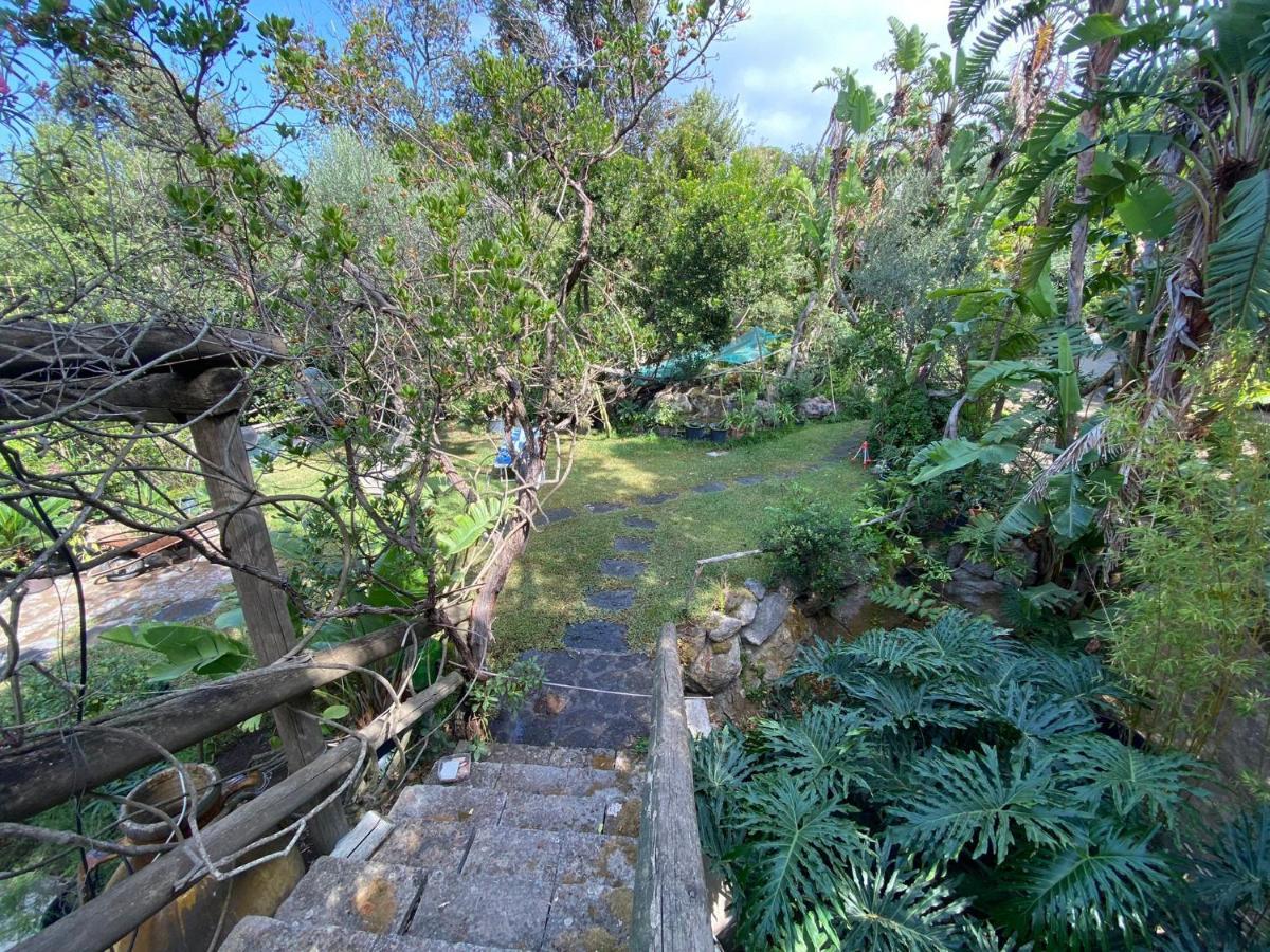 Le Dimore Di Zaro - Green Paradise Forio di Ischia Extérieur photo