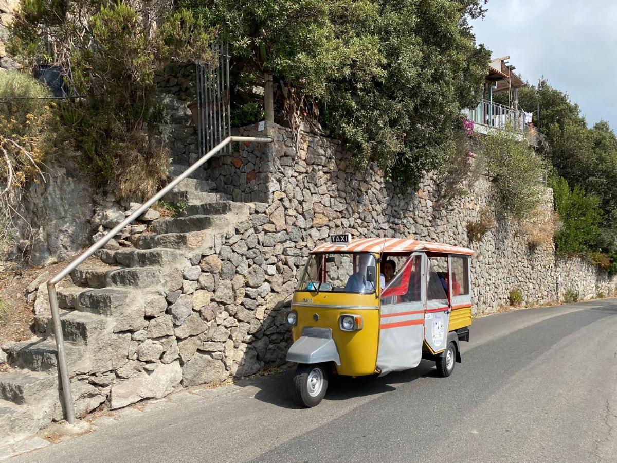 Le Dimore Di Zaro - Green Paradise Forio di Ischia Extérieur photo