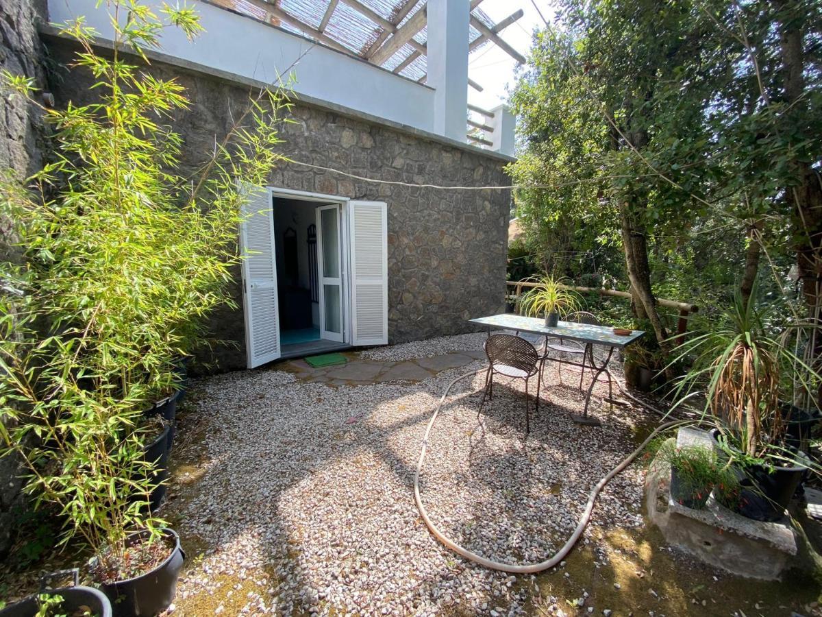 Le Dimore Di Zaro - Green Paradise Forio di Ischia Extérieur photo