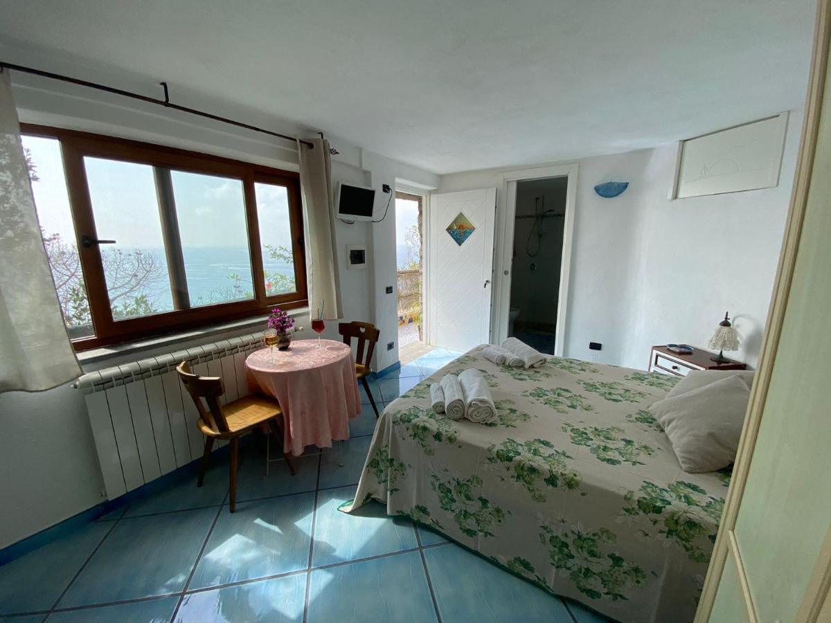 Le Dimore Di Zaro - Green Paradise Forio di Ischia Extérieur photo