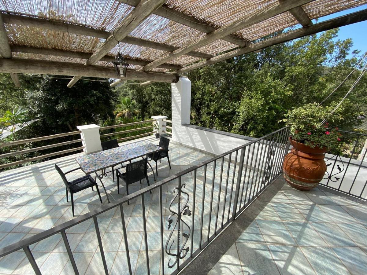 Le Dimore Di Zaro - Green Paradise Forio di Ischia Extérieur photo
