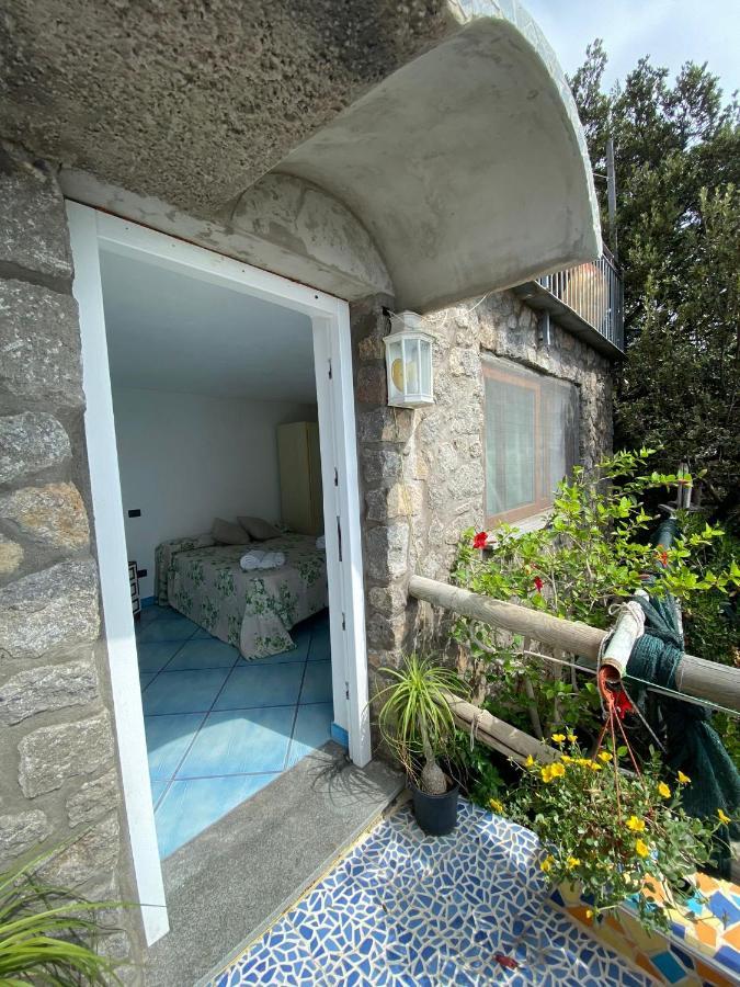 Le Dimore Di Zaro - Green Paradise Forio di Ischia Extérieur photo