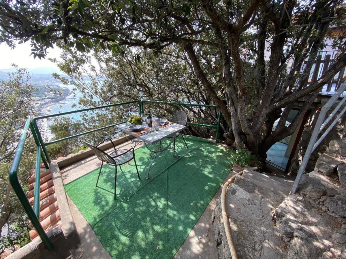 Le Dimore Di Zaro - Green Paradise Forio di Ischia Extérieur photo