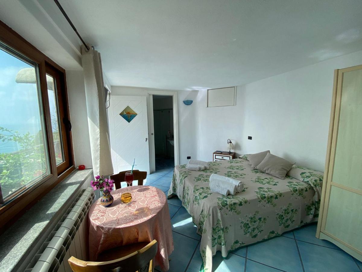 Le Dimore Di Zaro - Green Paradise Forio di Ischia Extérieur photo
