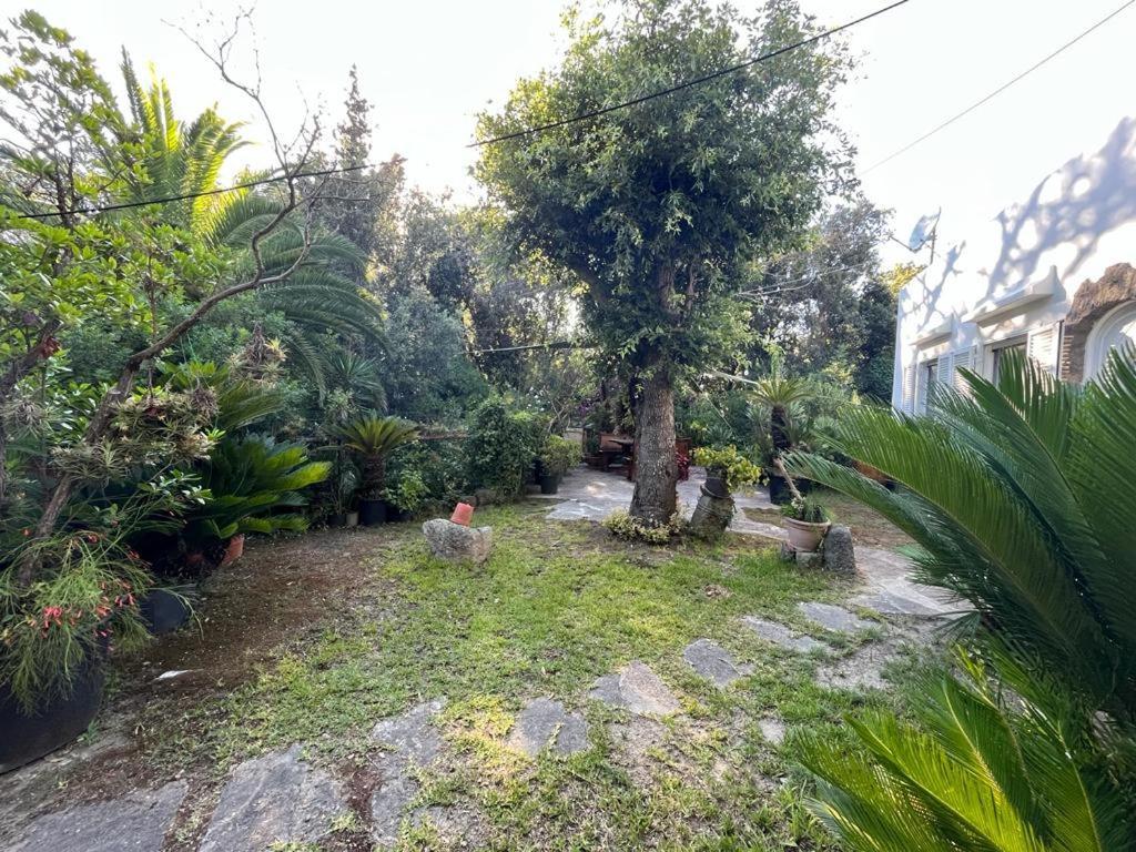 Le Dimore Di Zaro - Green Paradise Forio di Ischia Extérieur photo