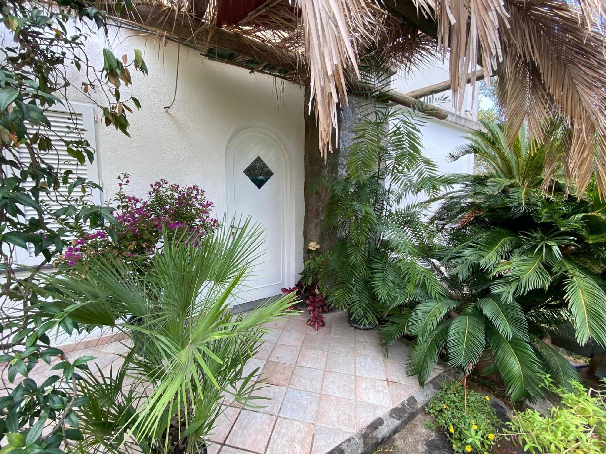 Le Dimore Di Zaro - Green Paradise Forio di Ischia Chambre photo