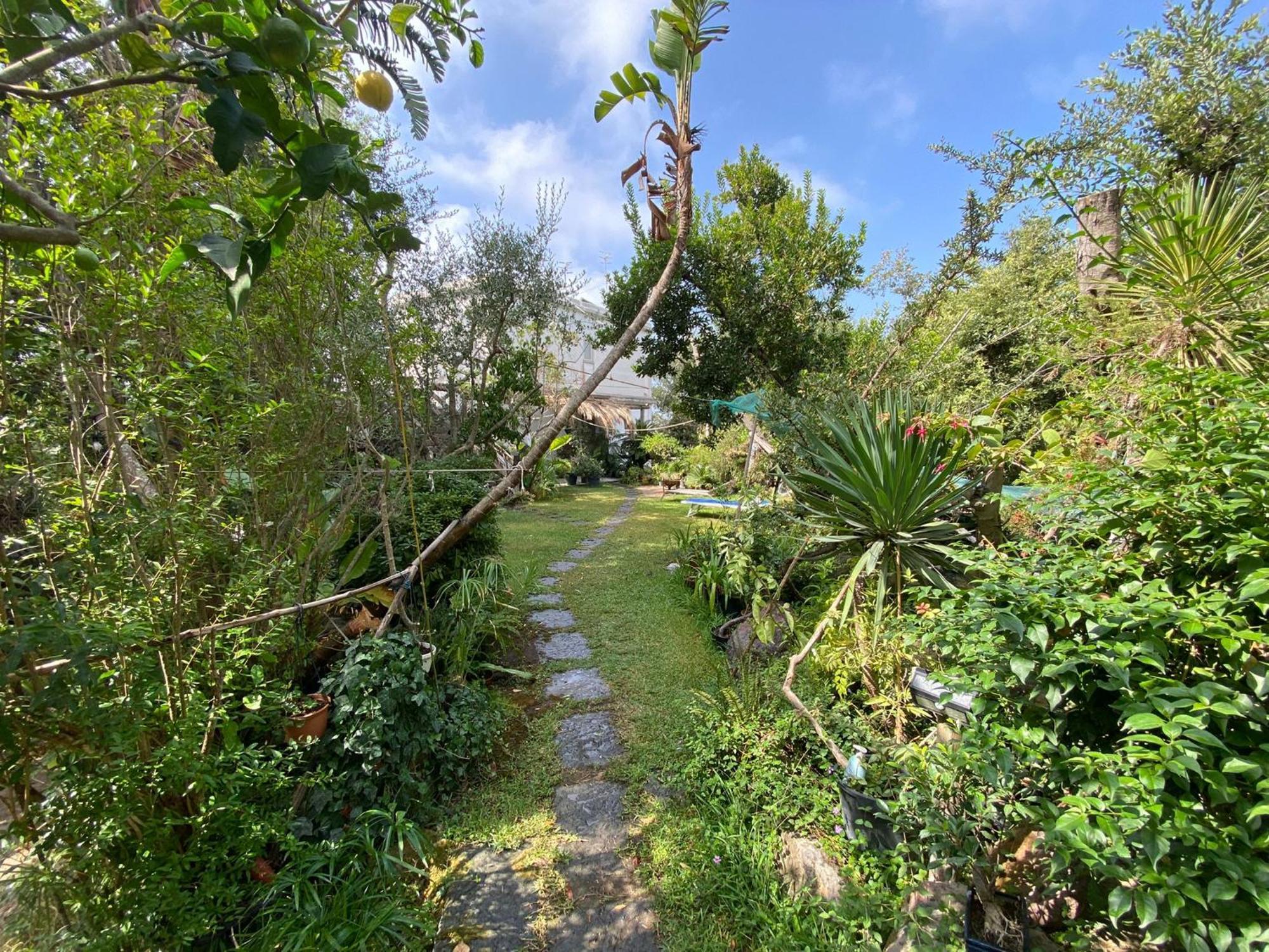 Le Dimore Di Zaro - Green Paradise Forio di Ischia Chambre photo