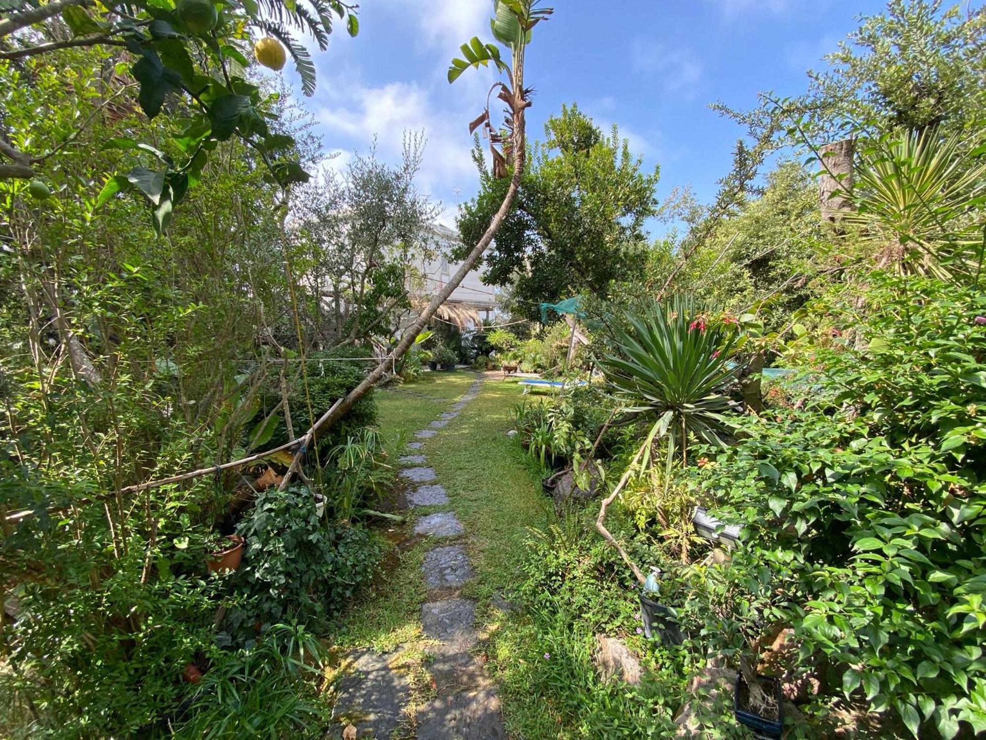 Le Dimore Di Zaro - Green Paradise Forio di Ischia Chambre photo