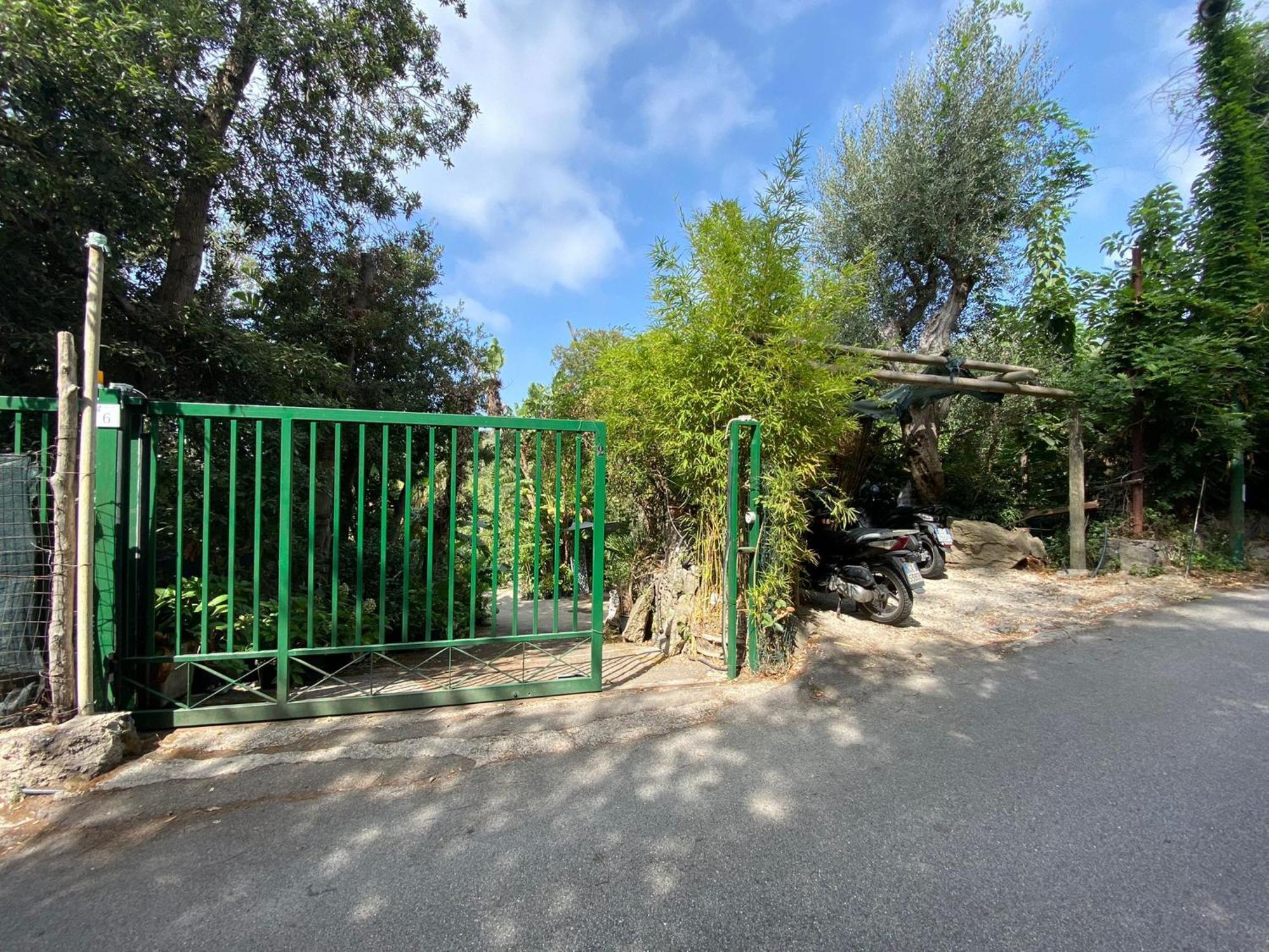 Le Dimore Di Zaro - Green Paradise Forio di Ischia Chambre photo