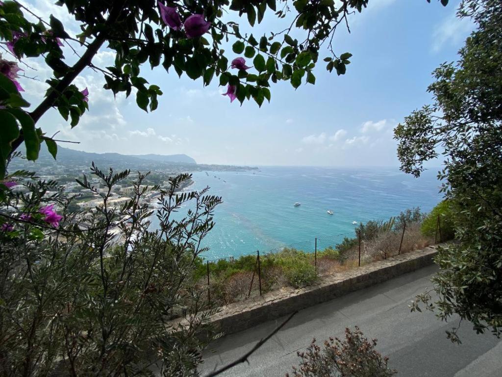 Le Dimore Di Zaro - Green Paradise Forio di Ischia Extérieur photo